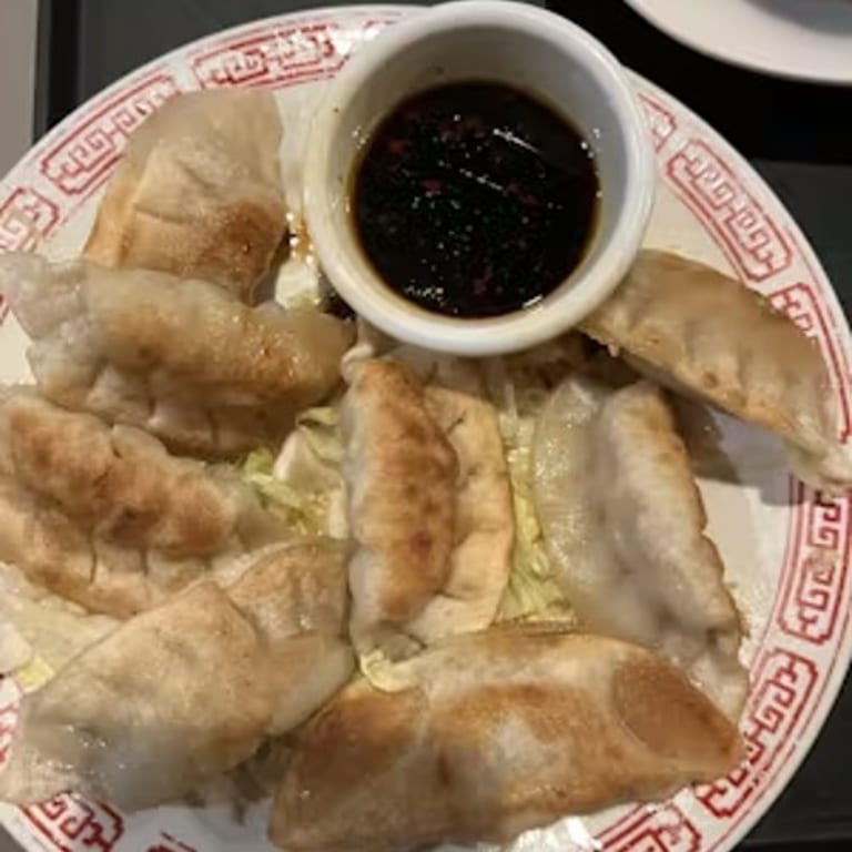 Savor Our Dumplings